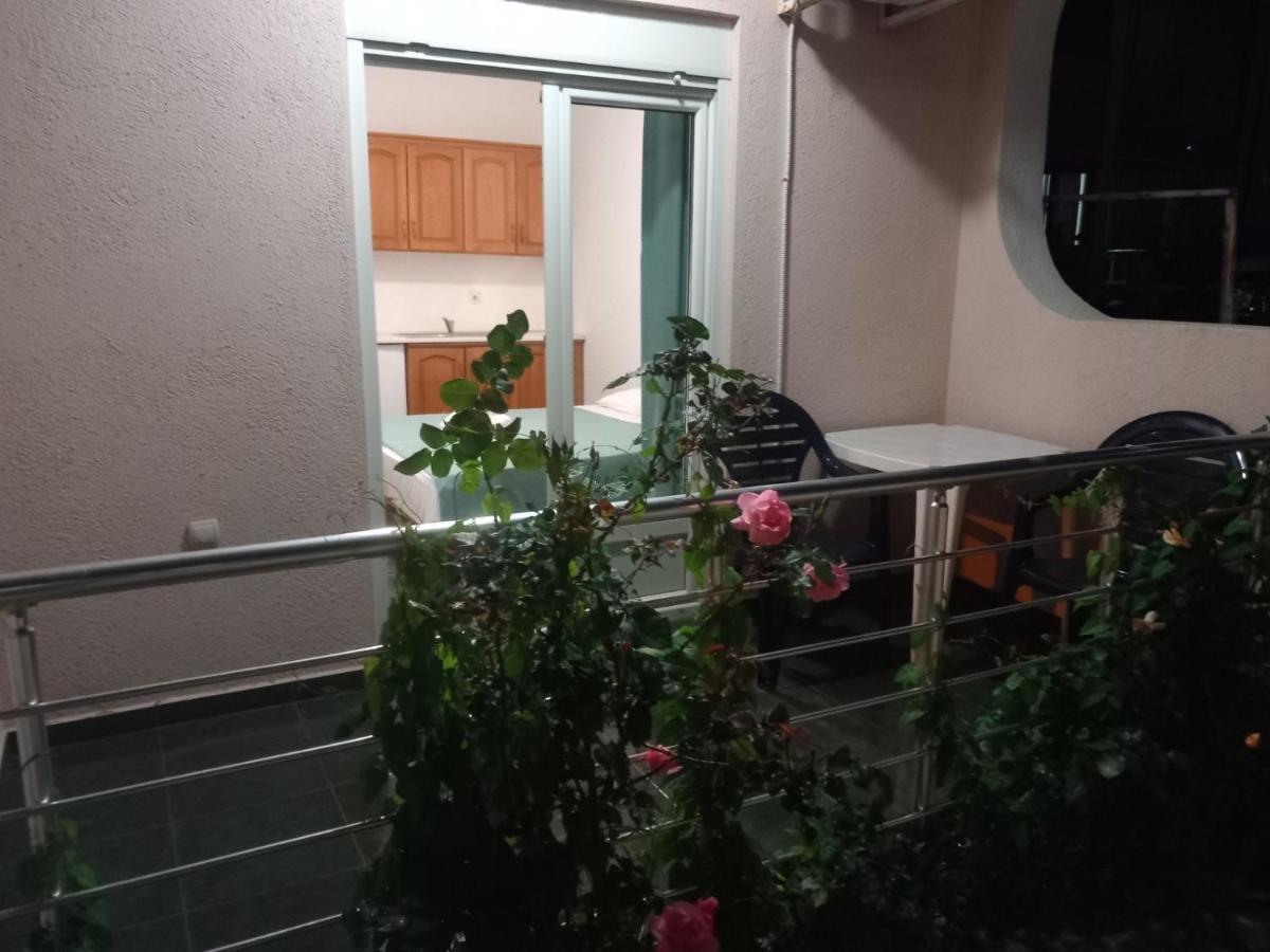Villa Emeja - Bar - Montenegro Eksteriør billede